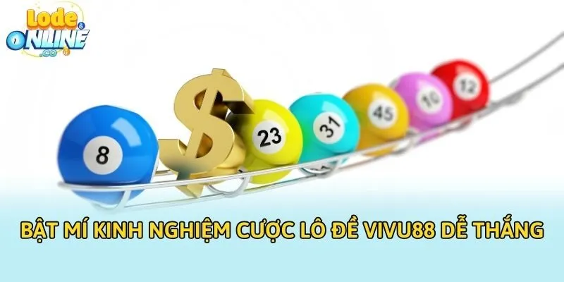 Bật mí kinh nghiệm cược lô đề VIVU88 dễ thắng